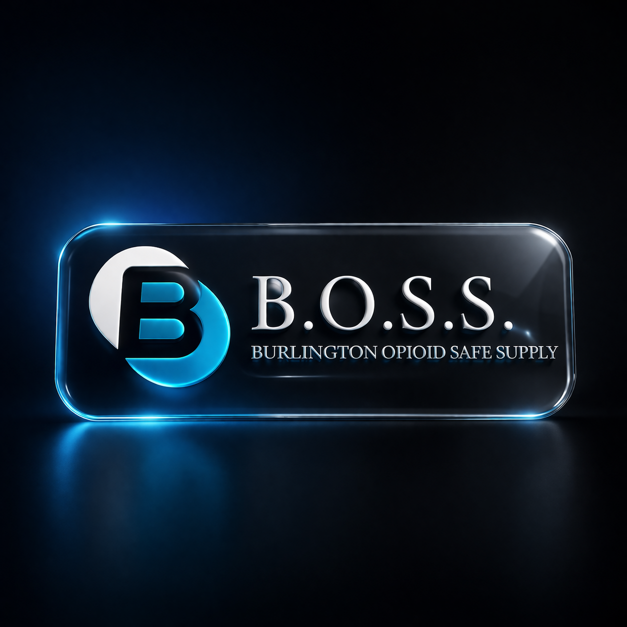 Boss Medical Clinic visual 2